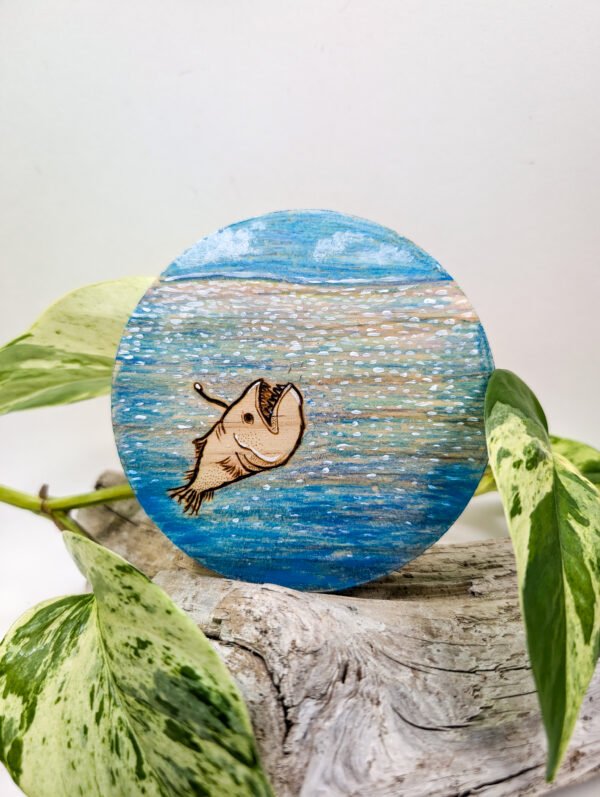 Coaster Angler Fish