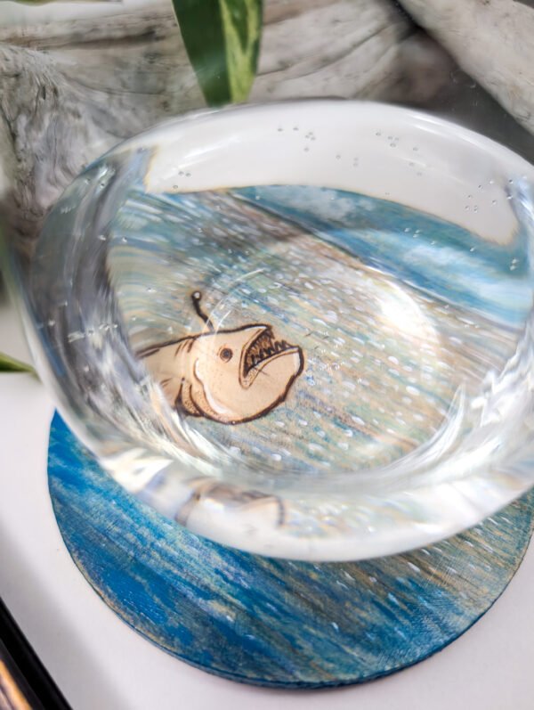 Coaster Angler Fish