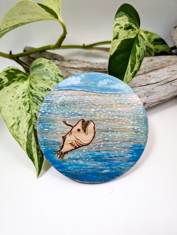 Coaster Angler Fish