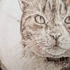 Close up of a wood burned pet portrait
