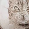 Close up of a wood burned pet portrait