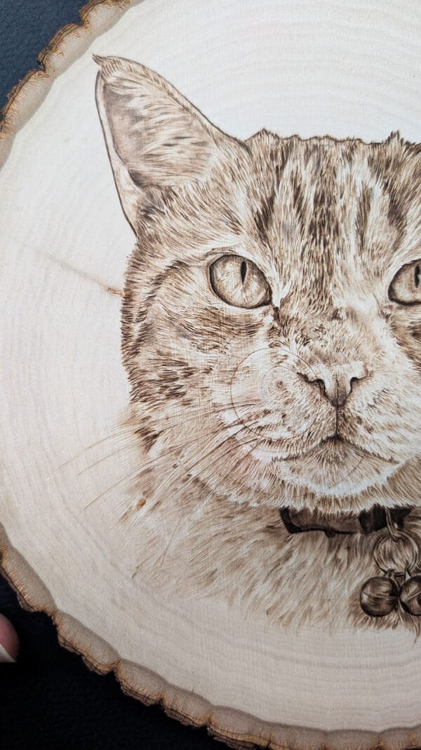 Close up of a wood burned pet portrait